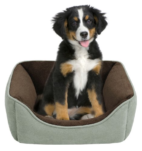 JLA Pets Soft Touch Celedon Faux Suede Reversible Rectangular Cuddler, 24 by 34-Inch