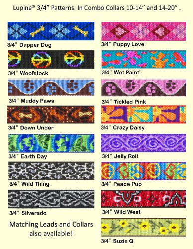 Lupine 3/4-Inch Down Under 14-20-Inch Martingale Combo Collar for Medium to Large Dogs - Image 4