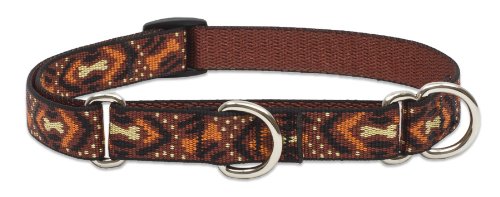 Lupine 3/4-Inch Down Under 14-20-Inch Martingale Combo Collar for Medium to Large Dogs