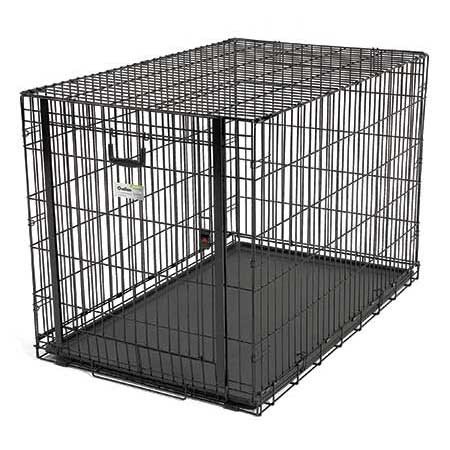 Midwest Ovation Single Door Dog Crate, 49.75L x 30.25W x 32.25H