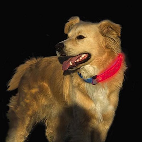 Nite Ize NDCC-03-09 Nite Dawg LED Collar Cover, Grey/Red