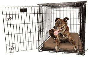 Orthopedic 4" Dog Crate Pad - Waterproof & Tear Resistant - For Crates 42 x 28