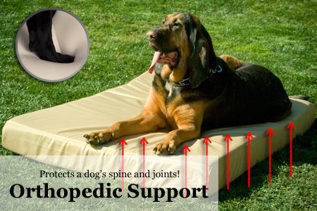 Orthopedic Tuff Dog Bed Marine Blue Stripe - Small 18"x24"x5" - Image 6