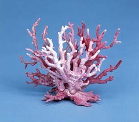 Penn Plax Deco Coral Reef Replica Aquarium Ornament