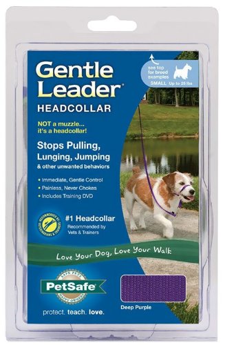 PetSafe Gentle Leader Headcollar, Small, Deep Purple