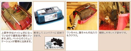 Petmate Look N See Kennel for Pets Up to 10-Pound, Pearl Waterfall - Image 4