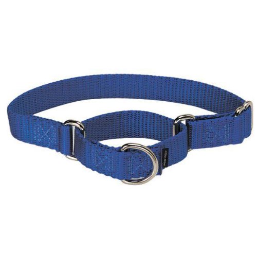 Premier Collar, 3/4" Medium, Royal Blue