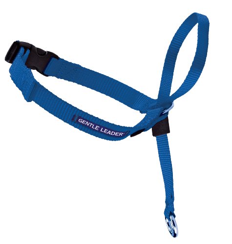 Premier-Pet-Products Gentle Leader Headcollar, Large, Royal Blue - Image 3