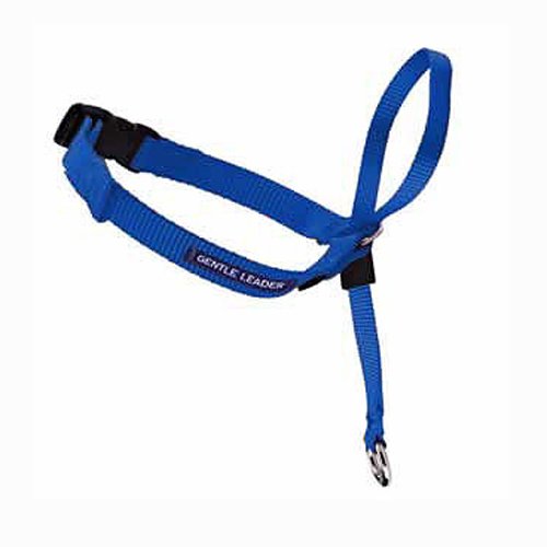 Premier-Pet-Products Gentle Leader Headcollar, Large, Royal Blue