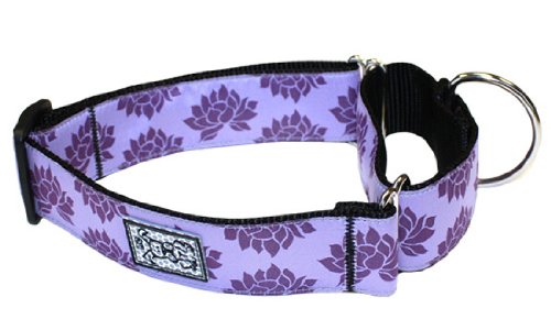 RC Pet Products 1-1/2-Inch All Webbing Martingale Dog Collar, Medium, Nirvana