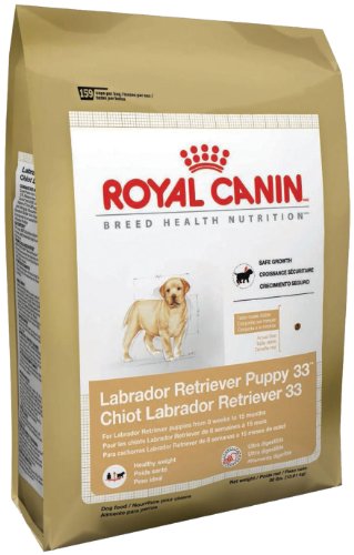 Royal Canin Labrador Retriever Puppy Dry Dog Food, 30-Pound Bag - Image 3