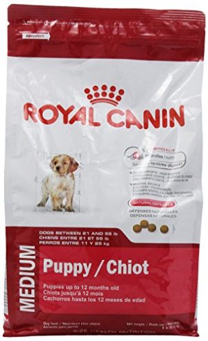 Royal Canin Medium Puppy Dog Food, 6-Pound