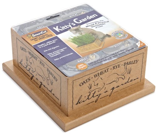 SmartCat 3844 Kitty?s Garden Edible Grass Planter