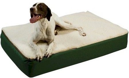 Snoozer Super Orthopedic Lounge Pet Bed, Medium, Hazelnut with Black Sherpa