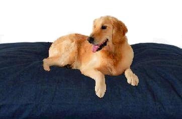 Super Duty Duvet Pet Case for XXXL 55"X47" Dog bed Pillow or 55"X47"X4" Pad by Denim Jean Fabric - Replacement Cover only - Image 5