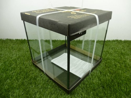 TheBettaFactory 12" x 12" x 12" Rimless Cube Open Top Nano Tank Aquarium for Live Betta Fish - Image 3