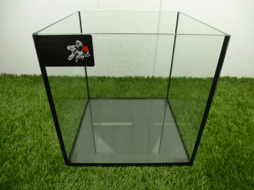 TheBettaFactory 12" x 12" x 12" Rimless Cube Open Top Nano Tank Aquarium for Live Betta Fish - Image 4