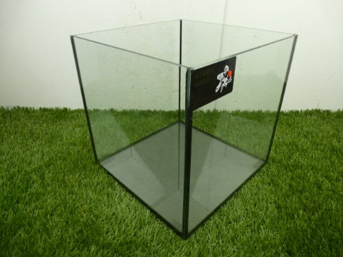 TheBettaFactory 12" x 12" x 12" Rimless Cube Open Top Nano Tank Aquarium for Live Betta Fish - Image 5