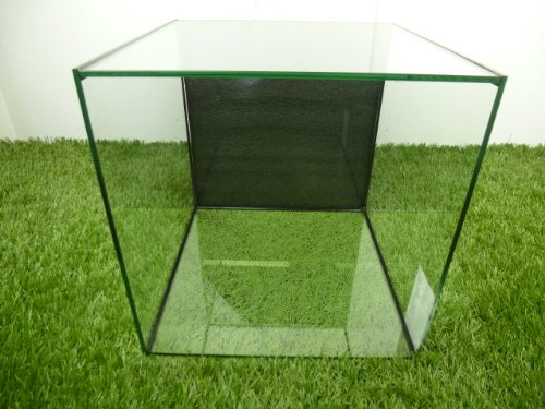 TheBettaFactory 12" x 12" x 12" Rimless Cube Open Top Nano Tank Aquarium for Live Betta Fish - Image 6