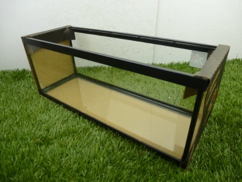 TheBettaFactory Five-Way 5-Way Live Betta Fish Tank Aquarium w/ Divider and Top Glass Canopy - Image 3