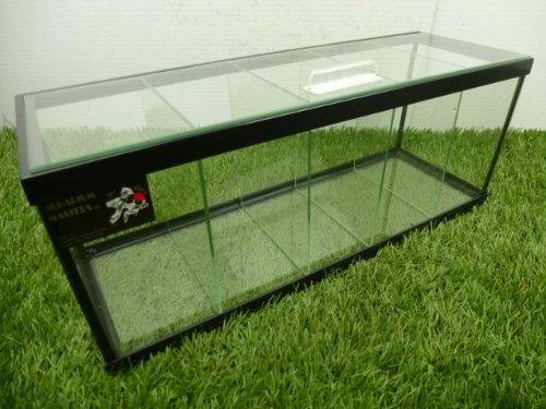 TheBettaFactory Five-Way 5-Way Live Betta Fish Tank Aquarium w/ Divider and Top Glass Canopy - Image 7