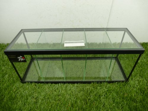 TheBettaFactory Five-Way 5-Way Live Betta Fish Tank Aquarium w/ Divider and Top Glass Canopy - Image 9