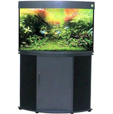 Gallery Detail: Water World Compass Rose Collection Corner Aquarium And Stand Black
