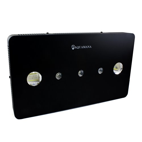 AQUAMANA 165W COB LED Full Spectrum & Blue Moonlights Aquarium Light Panel Hoods with Two 78W COB Modules and Three 3W Blue Moonlight for Coral, Reef & Fish (Full Spectrum)