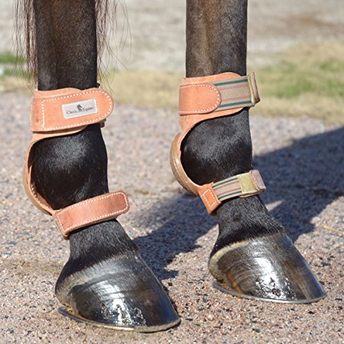 Classic Equine Performance Velcro Skid Boots