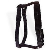 Coastal Pet Products CCP6341BLK Nylon Adjustable Figure H Cat Harness, Black