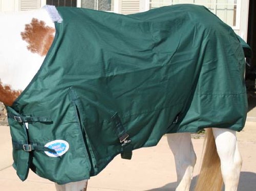 Derby Originals Waterproof Breathable 600D Horse Sheet with Lining Hunter Green 75" - Image 4