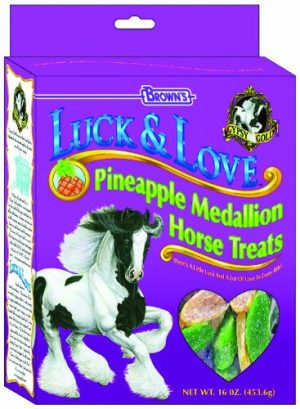 F.M. BROWNS EQUINE 53301 LUCK & LOVE TREAT PINEAPPLE 1 POUND