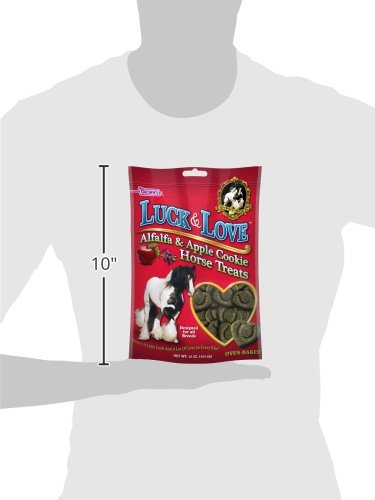 F.M. Brown's Gypsy Gold Luck and Love Horse Treats, 16-Ounce, Alfalfa and Apple Cookie - Image 5