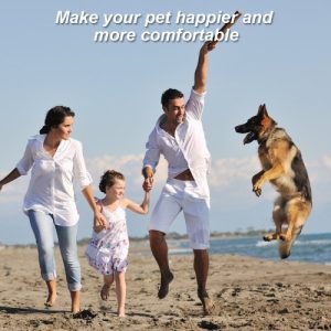 HOT SPOT TREATMENT FOR DOGS HOUSE CATS & BIRDS- PROBIOTICS FOR DOGS Natural Spray- Prevent Fleas-Bad Pet Odors-Scratching, Dry & Itchy Skin irritations. Protect From Bad Breath, Fleas, Itching, Bald Spots, Watery Eyes, Ear Infections & Ear Mites. Best Topical Pet Probiotic Remedy On The Market - 100% Natural Deodorizing Spray for Cats & Dogs - Image 3
