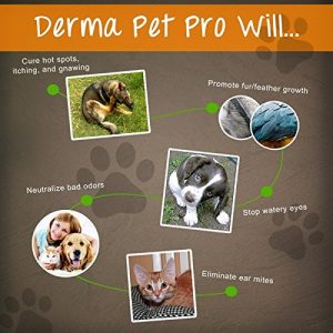 HOT SPOT TREATMENT FOR DOGS HOUSE CATS & BIRDS- PROBIOTICS FOR DOGS Natural Spray- Prevent Fleas-Bad Pet Odors-Scratching, Dry & Itchy Skin irritations. Protect From Bad Breath, Fleas, Itching, Bald Spots, Watery Eyes, Ear Infections & Ear Mites. Best Topical Pet Probiotic Remedy On The Market - 100% Natural Deodorizing Spray for Cats & Dogs - Image 5