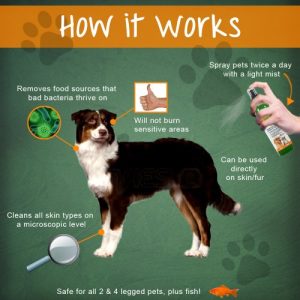 HOT SPOT TREATMENT FOR DOGS HOUSE CATS & BIRDS- PROBIOTICS FOR DOGS Natural Spray- Prevent Fleas-Bad Pet Odors-Scratching, Dry & Itchy Skin irritations. Protect From Bad Breath, Fleas, Itching, Bald Spots, Watery Eyes, Ear Infections & Ear Mites. Best Topical Pet Probiotic Remedy On The Market - 100% Natural Deodorizing Spray for Cats & Dogs - Image 9