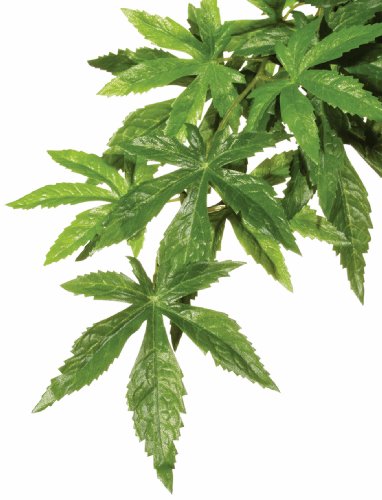 Hagen Exo Terra Silk Terrarium Plant, Small, Abutilon