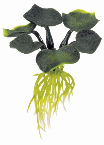 Hagen Exo Terra Water Plant, Hyacinth