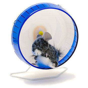 Kaytee 12-Inch Giant Silent Spinner Exercise Wheel, Colors Vary