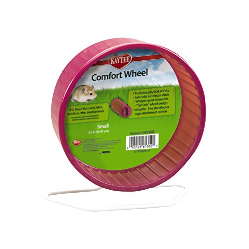 Kaytee Small Comfort Exercise Wheel, 5.5-Inch, Colors Vary