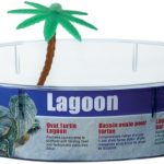 Lee's Turtle Lagoon, Oval w/ Plant, 11-Inch by 8-1/2-Inch by 3-Inch