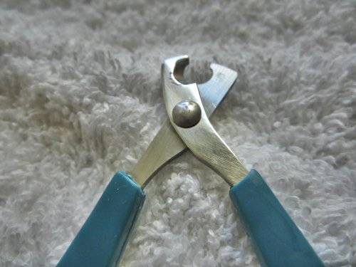 Nail Clippers for Cat Small-breed Dog Puppy & Small Animals Rabbit Bird. Light Handy & Safe Trimmer for Precise & Fast Clipping Keeping Paws Clean and Healthy. Money-back Warranty. Quality Professional Grooming Tool from Ebelyn. - Image 4