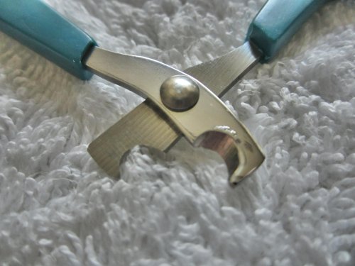 Nail Clippers for Cat Small-breed Dog Puppy & Small Animals Rabbit Bird. Light Handy & Safe Trimmer for Precise & Fast Clipping Keeping Paws Clean and Healthy. Money-back Warranty. Quality Professional Grooming Tool from Ebelyn. - Image 6