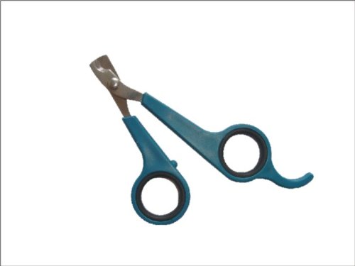 Nail Clippers for Cat Small-breed Dog Puppy & Small Animals Rabbit Bird. Light Handy & Safe Trimmer for Precise & Fast Clipping Keeping Paws Clean and Healthy. Money-back Warranty. Quality Professional Grooming Tool from Ebelyn. - Image 7