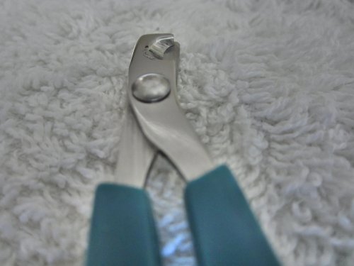 Nail Clippers for Cat Small-breed Dog Puppy & Small Animals Rabbit Bird. Light Handy & Safe Trimmer for Precise & Fast Clipping Keeping Paws Clean and Healthy. Money-back Warranty. Quality Professional Grooming Tool from Ebelyn. - Image 9