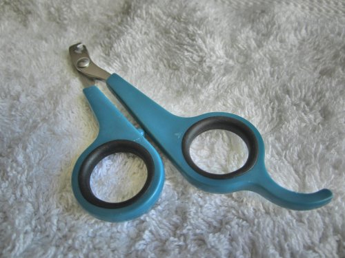Nail Clippers for Cat Small-breed Dog Puppy & Small Animals Rabbit Bird. Light Handy & Safe Trimmer for Precise & Fast Clipping Keeping Paws Clean and Healthy. Money-back Warranty. Quality Professional Grooming Tool from Ebelyn. - Image 10