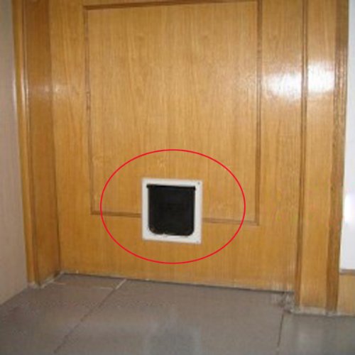 Neewer White 4 Way Locking Cat Flap with Door Liner - Image 7