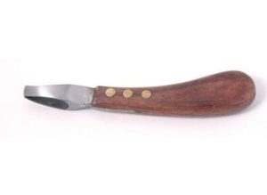 Oval Hoof Knife