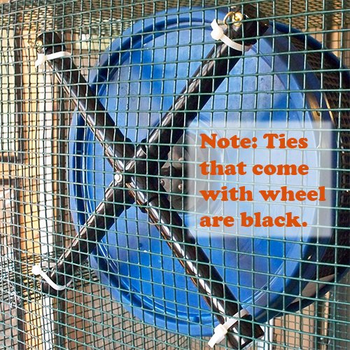 Pet Exercise Wheel, Pet Wheel for Sugar Gliders, Rats--Stealth Wheel; Blue XMount - Image 5