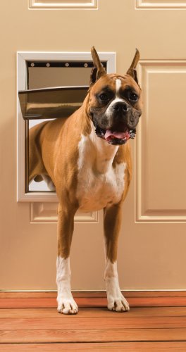PetSafe Large Freedom Aluminum Pet Door, Premium White - Image 6